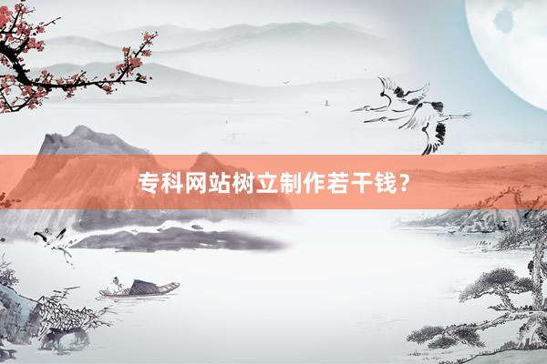 专科网站树立制作若干钱？