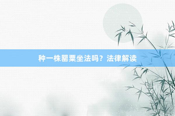 种一株罂粟坐法吗？法律解读